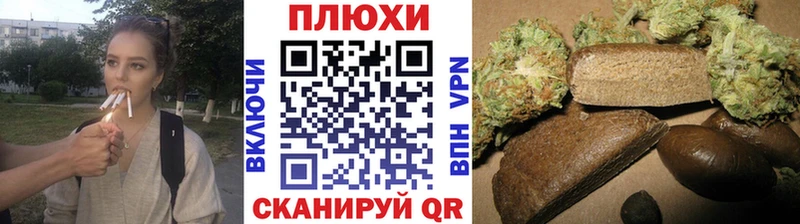 купить наркоту  Краснозаводск  omg вход  ГАШ Premium 