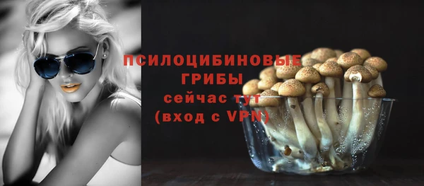 спайс Богородск