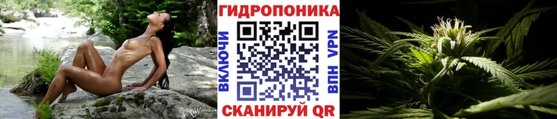 KRAKEN   сколько стоит  Краснозаводск  Шишки марихуана план 